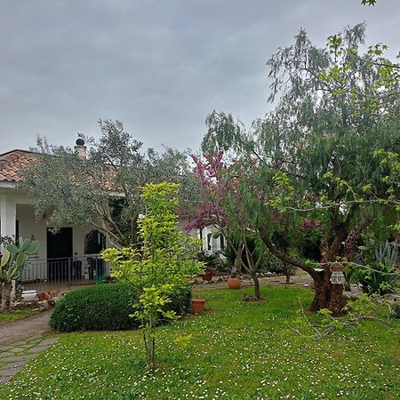 La Casa Di Fede Hotel Lanuvio Екстериор снимка